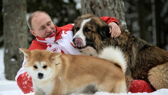BBC: Cine sunt „superfanii” lui Putin care încearcă să promoveze imaginea liderului rus pe Facebook